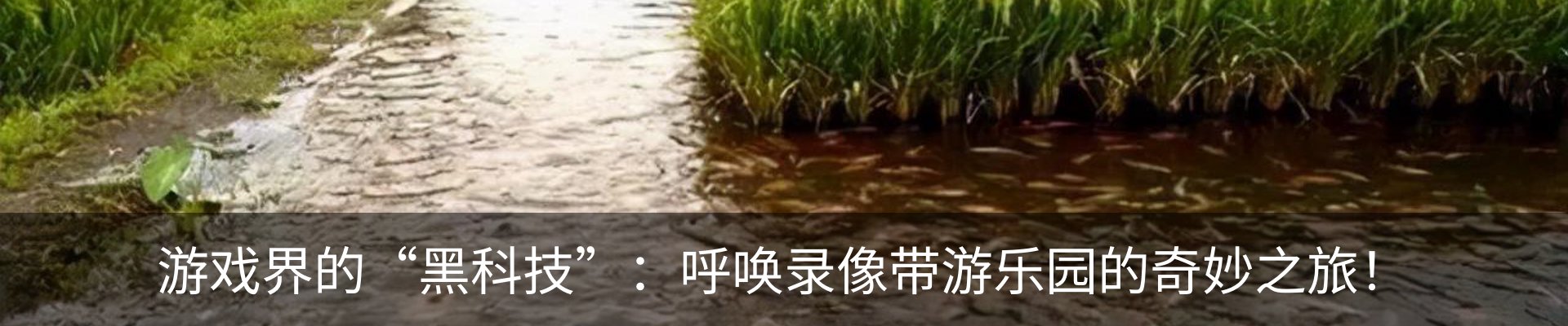 内页banner