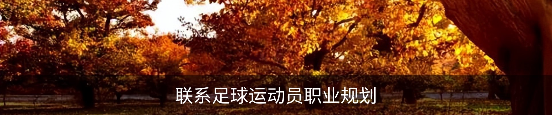 内页banner